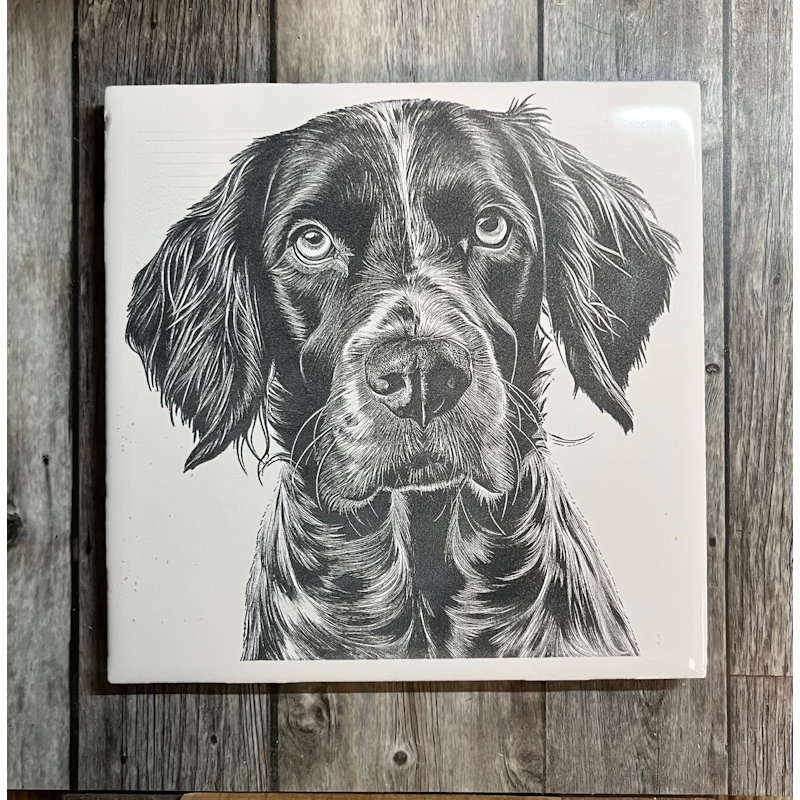 (image for) Ceramic Trivet, 6" Square with a Spaniel