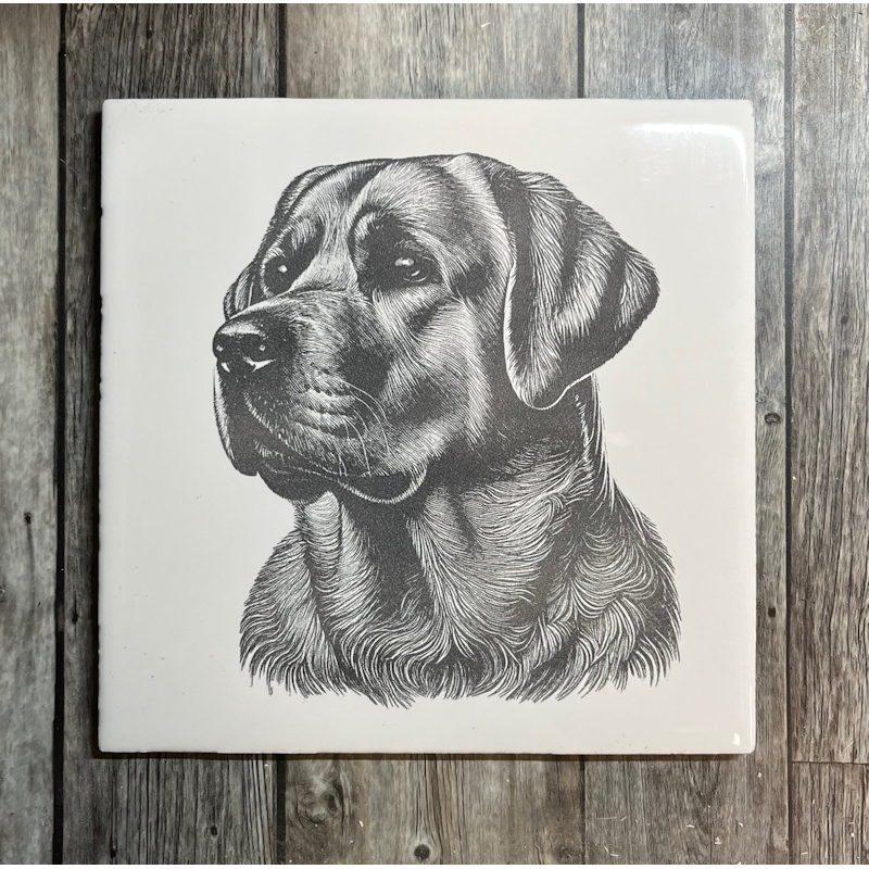 (image for) Ceramic Trivet, 6" Square with a Labrador